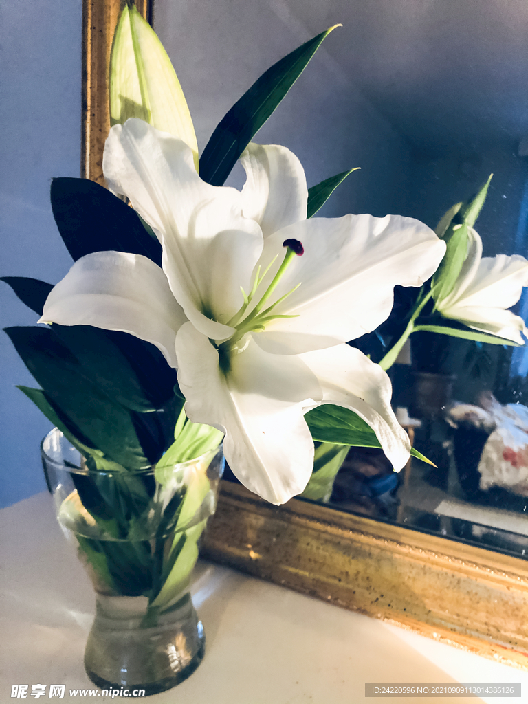 鲜花