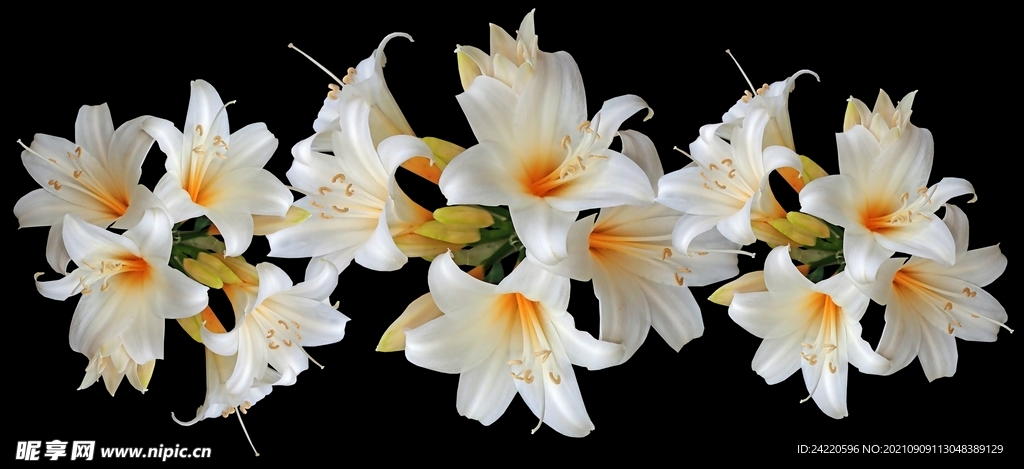鲜花