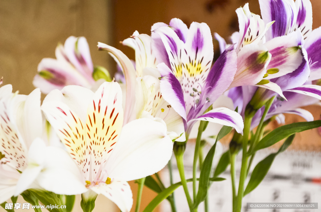 鲜花
