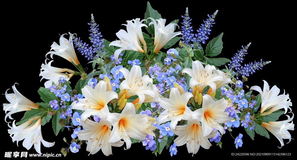 鲜花