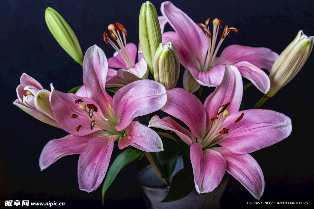 鲜花