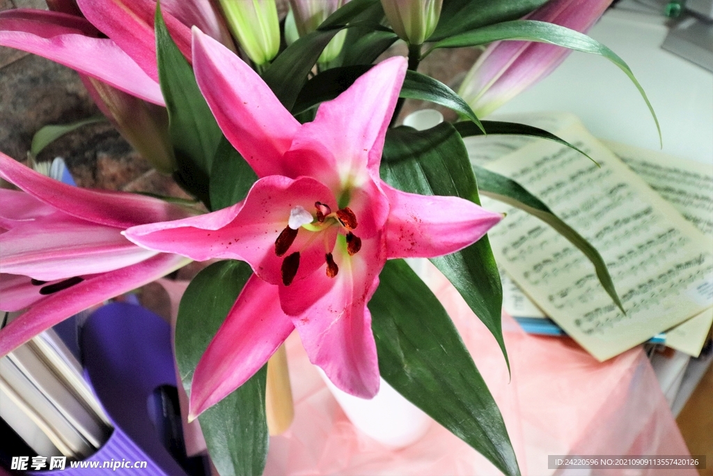 鲜花