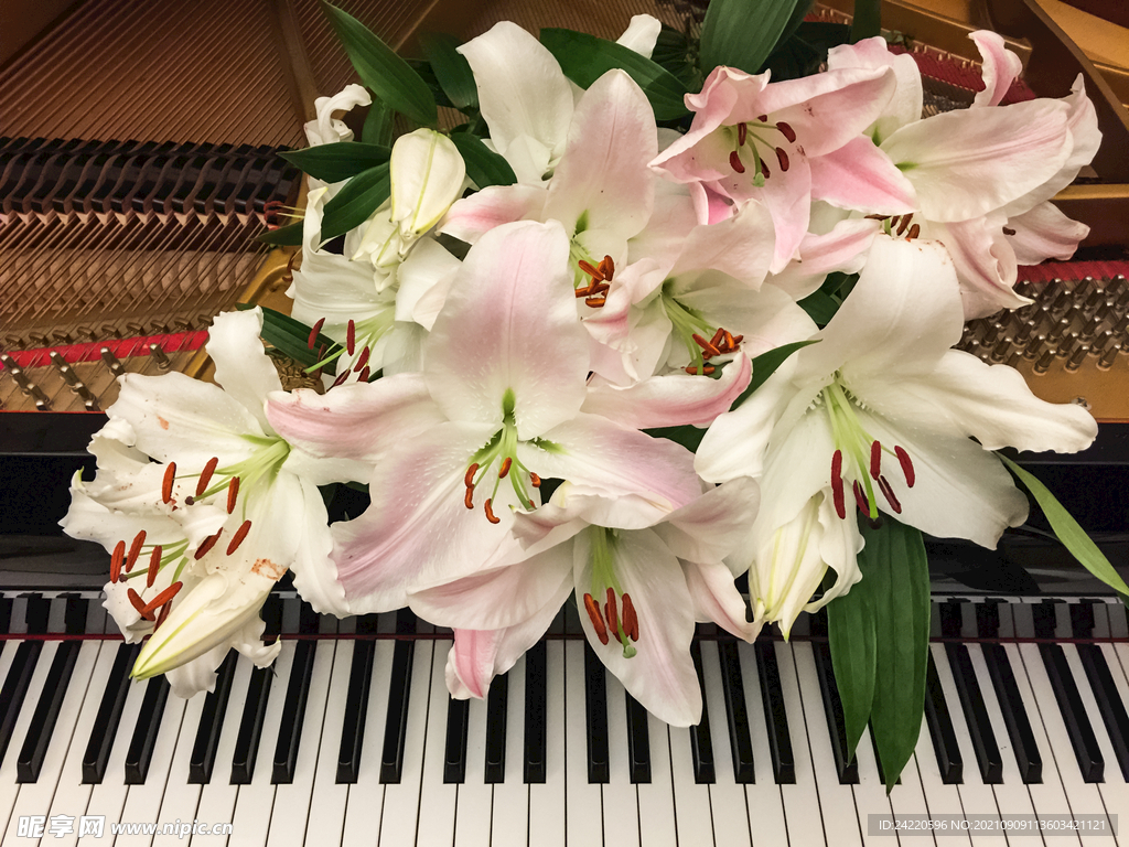 鲜花