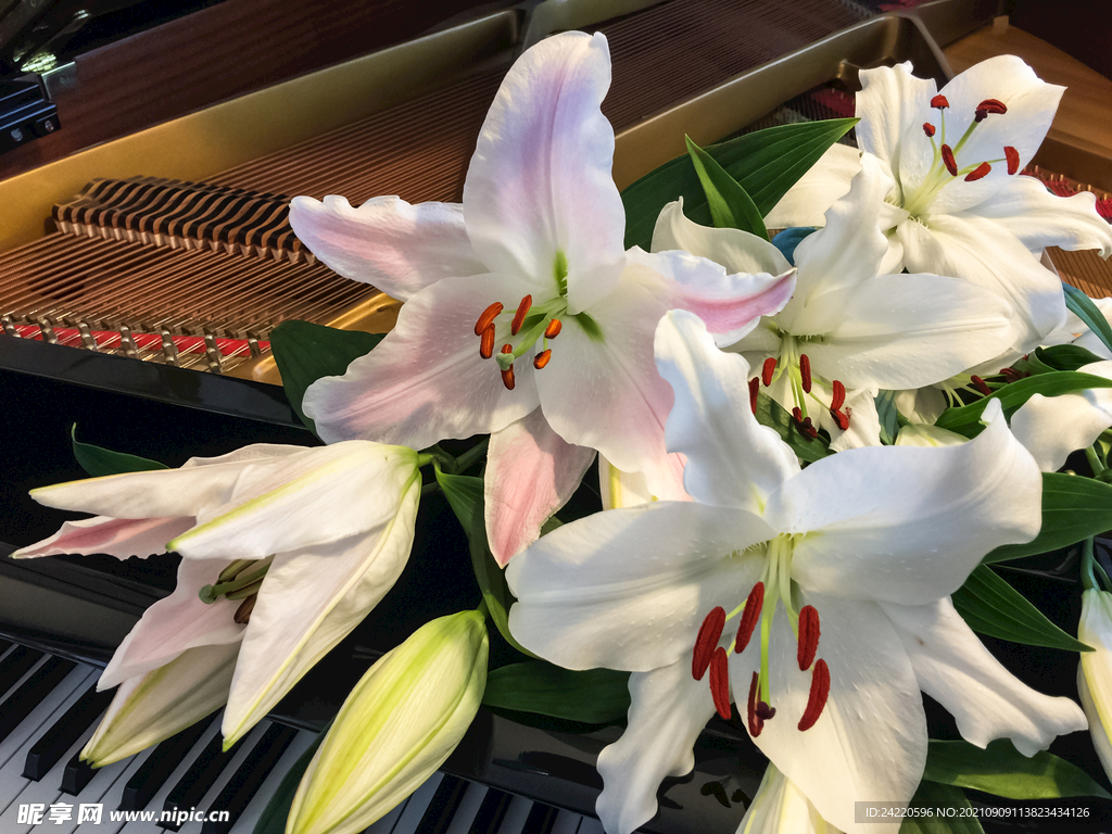鲜花
