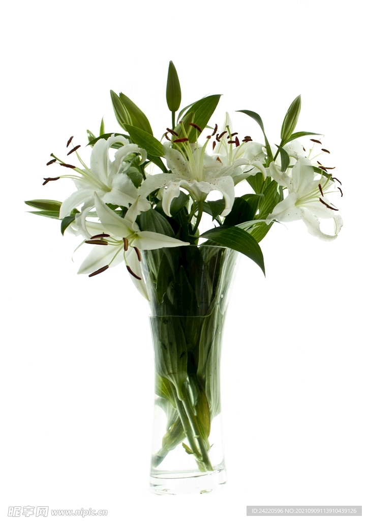 鲜花