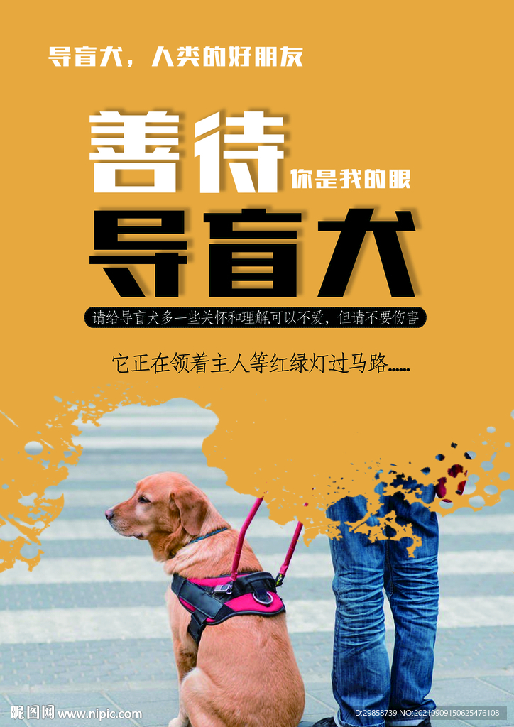 导盲犬    关爱动物
