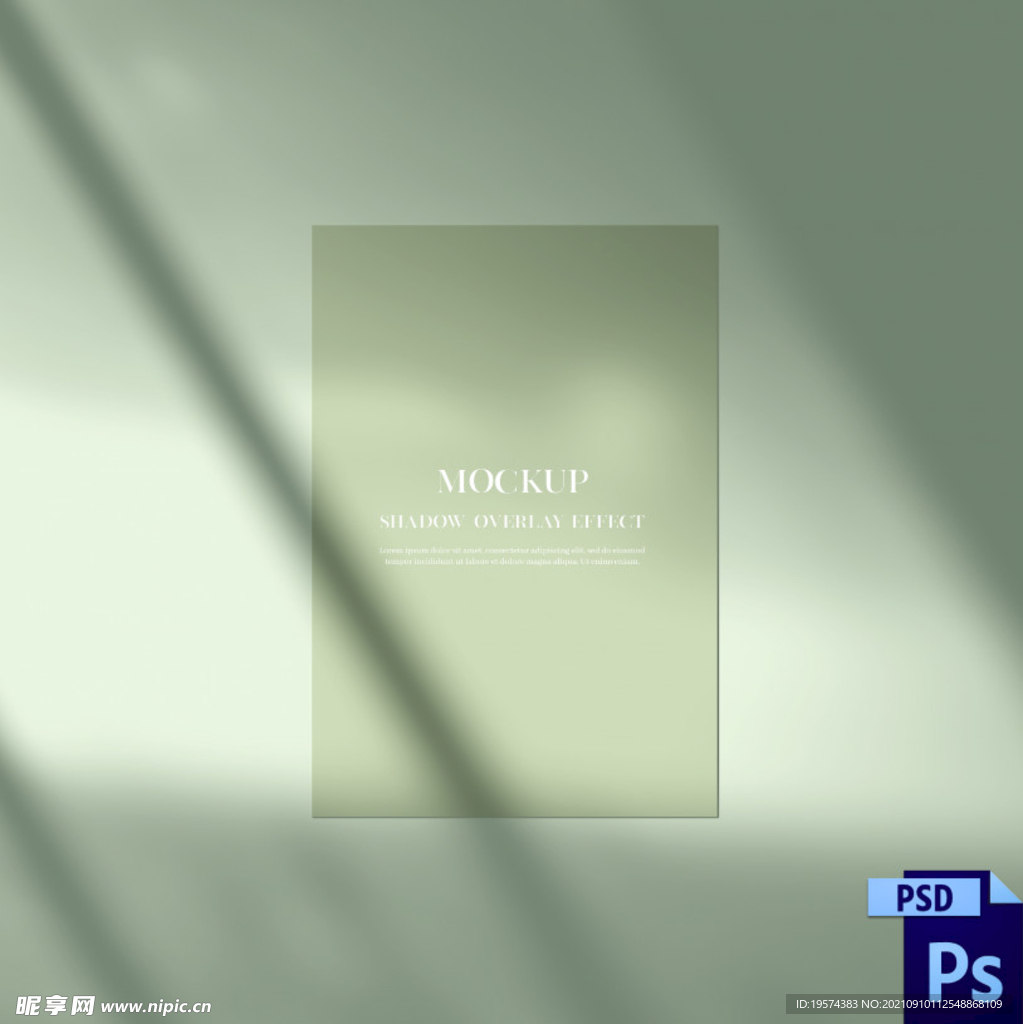 光线 浪漫 树叶 投影 产品 