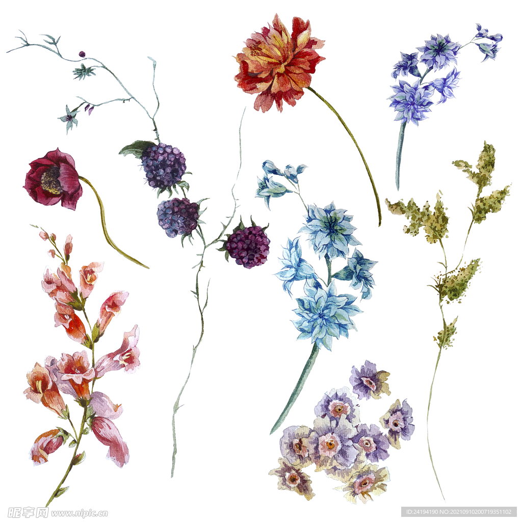 素材花