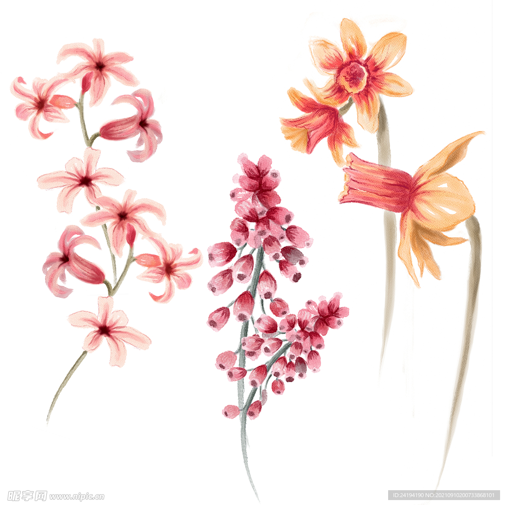 素材花