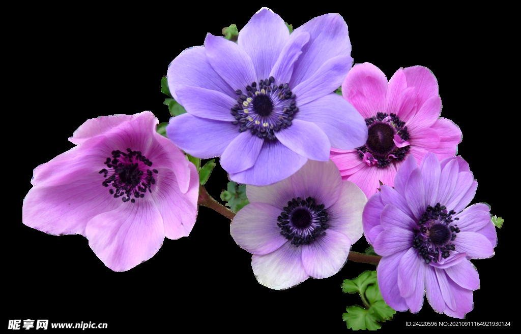 鲜花