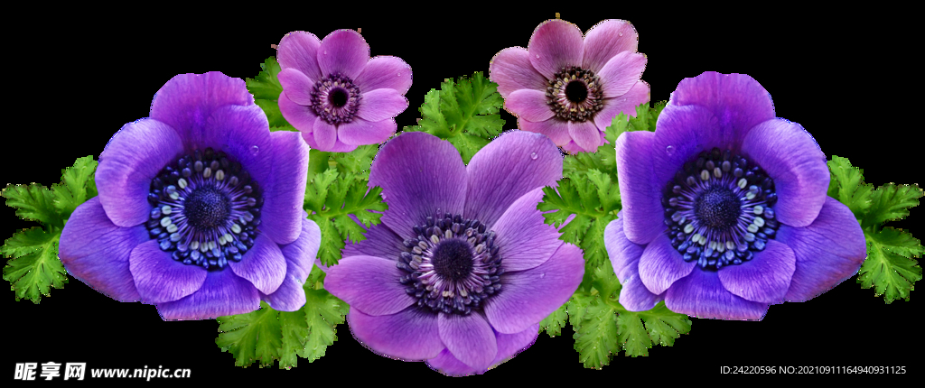 鲜花