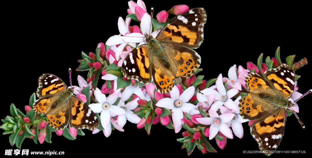鲜花