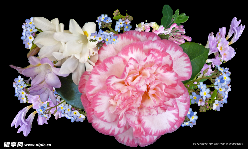 鲜花