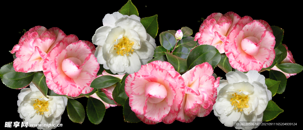 鲜花