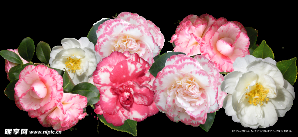 鲜花