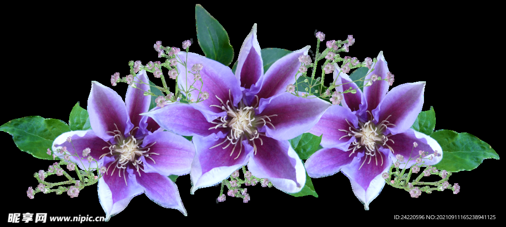鲜花