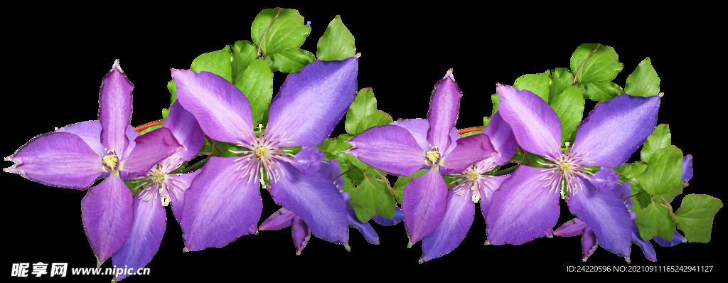 鲜花