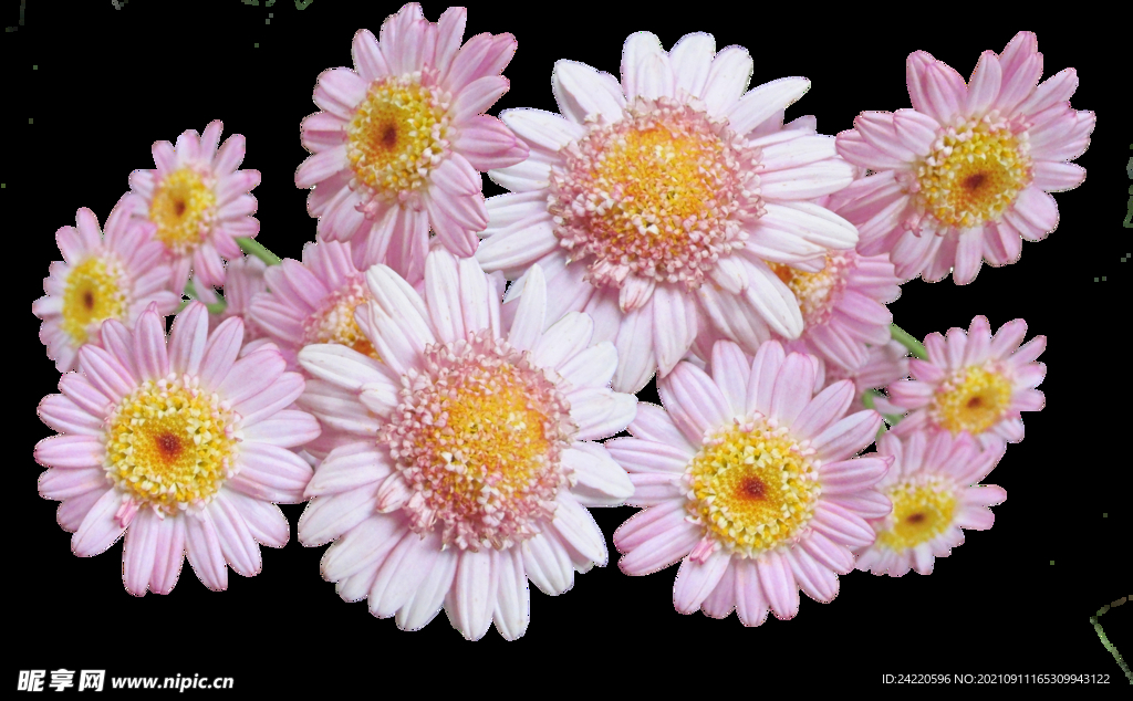 鲜花
