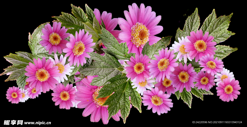 鲜花