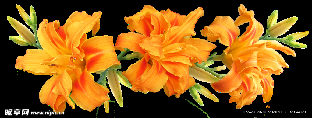 鲜花
