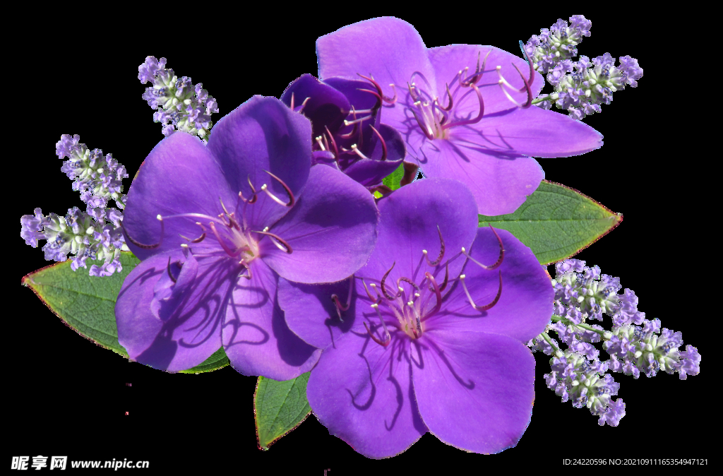 鲜花
