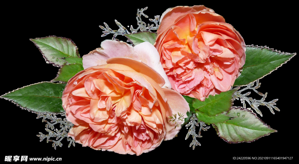 鲜花