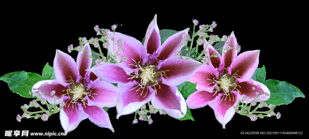 鲜花