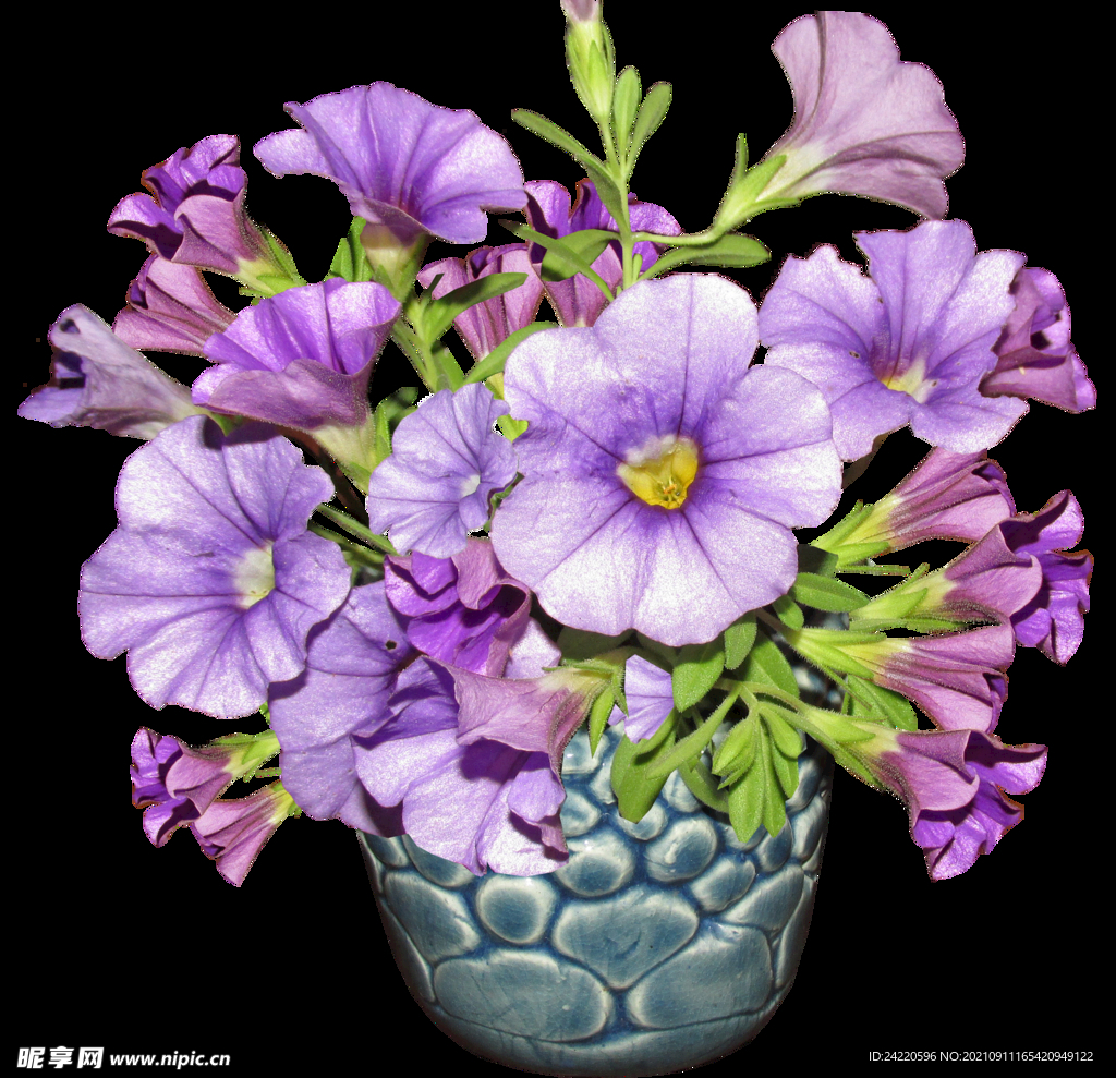 鲜花