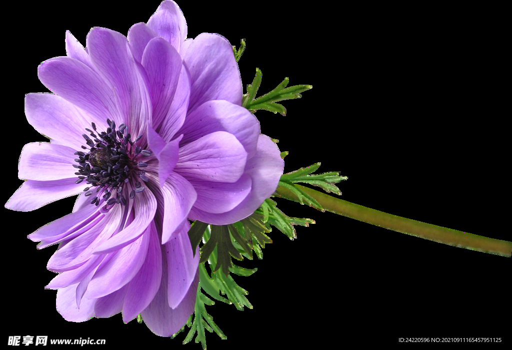 鲜花