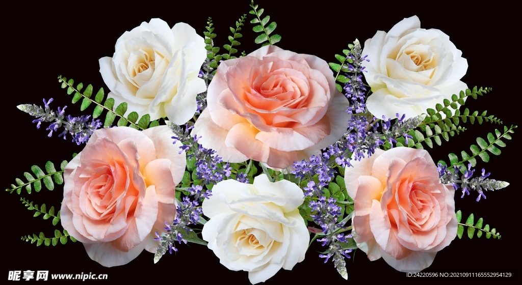 玫瑰花