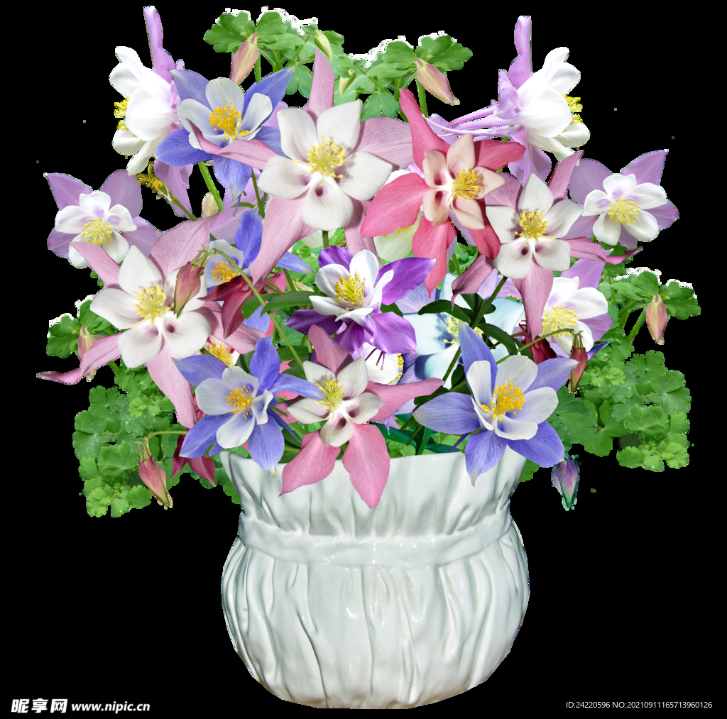 鲜花