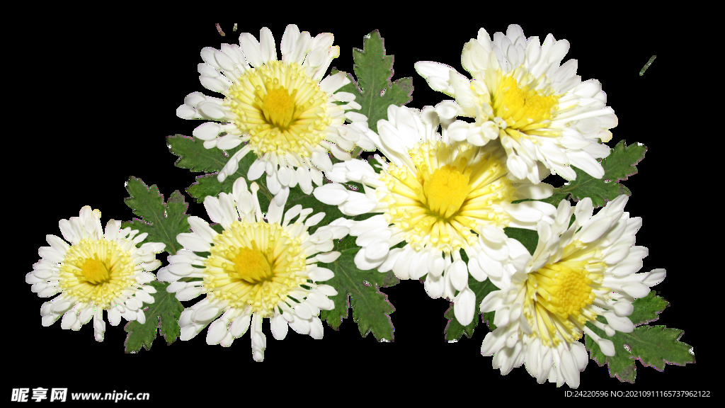 鲜花