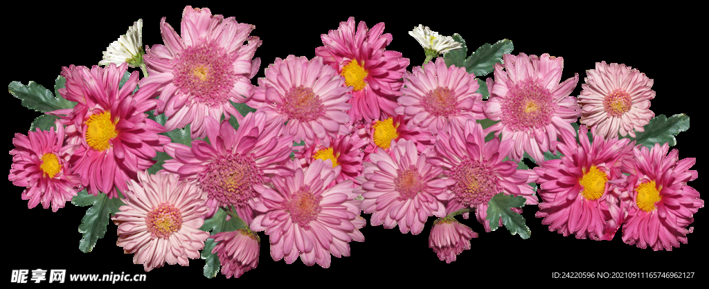 鲜花