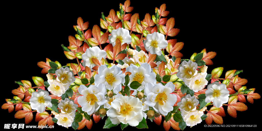 鲜花