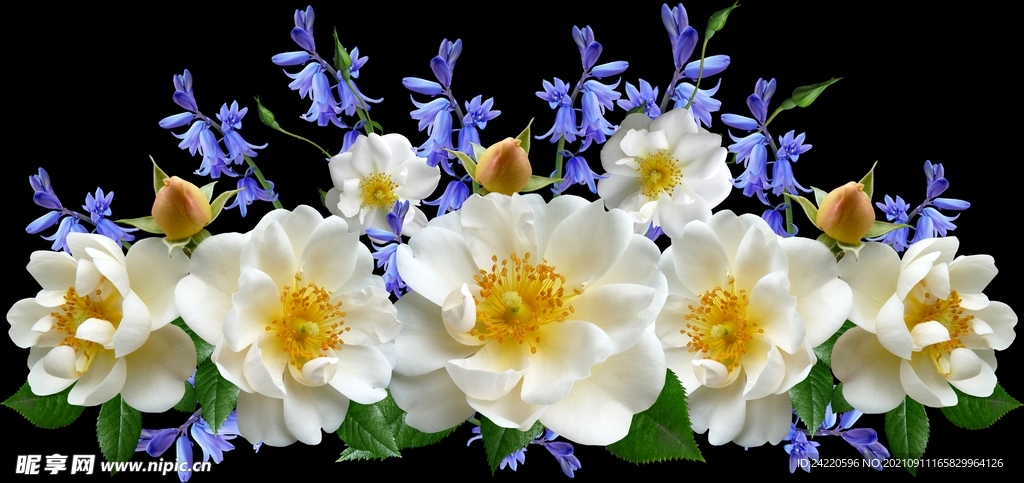 鲜花