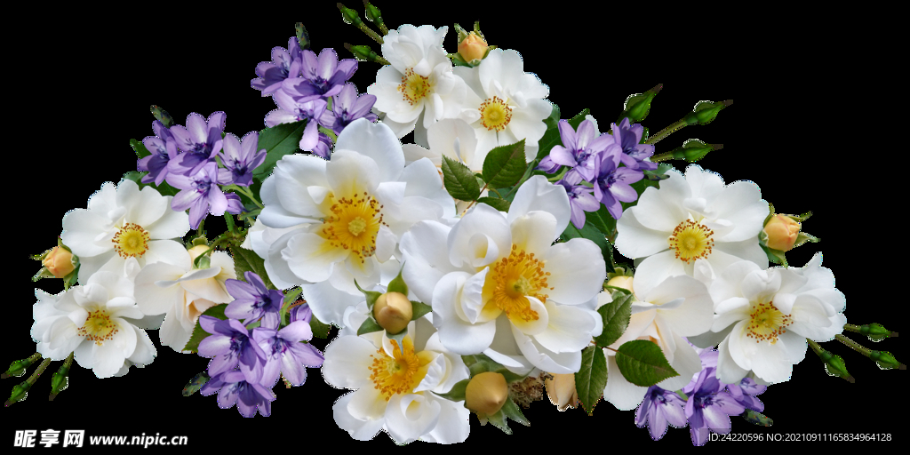 鲜花