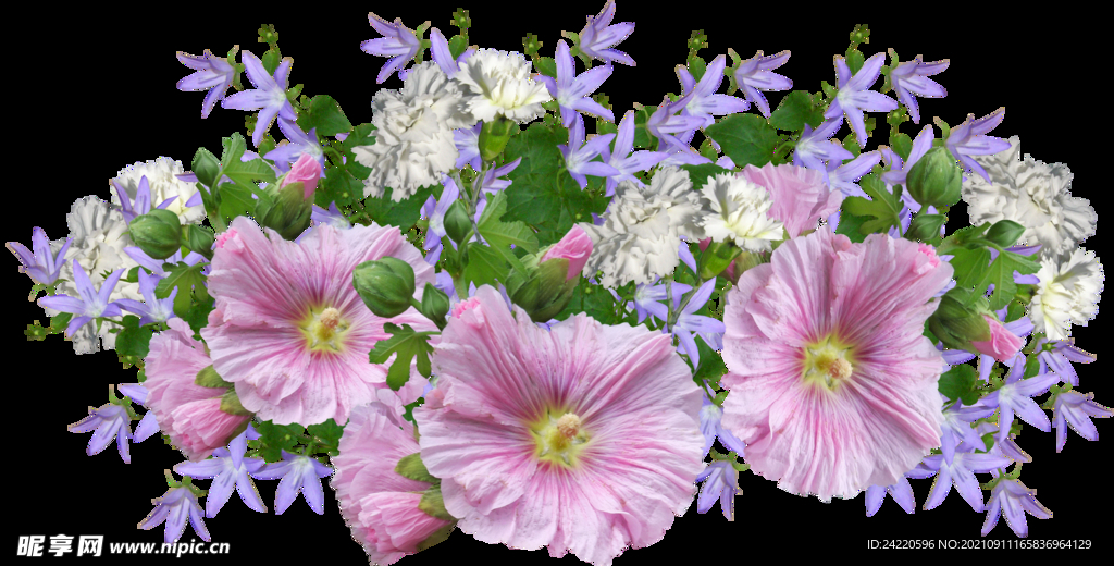 鲜花