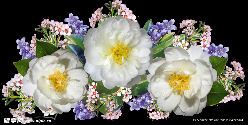 鲜花