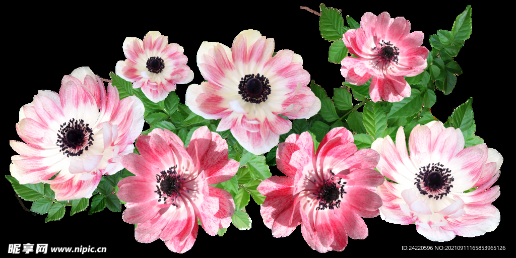 鲜花
