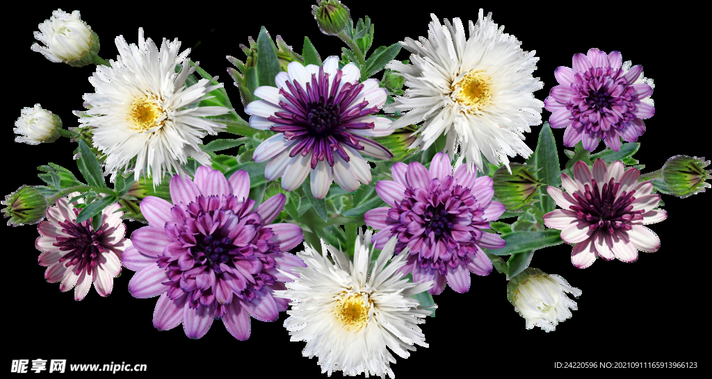 鲜花