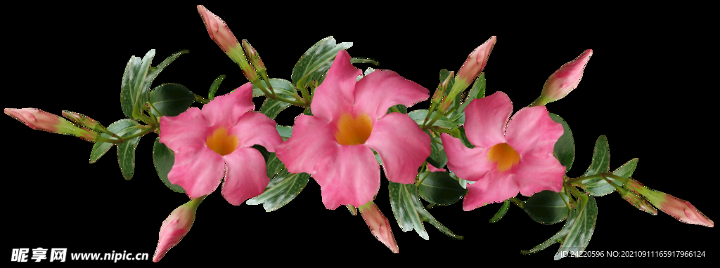 鲜花