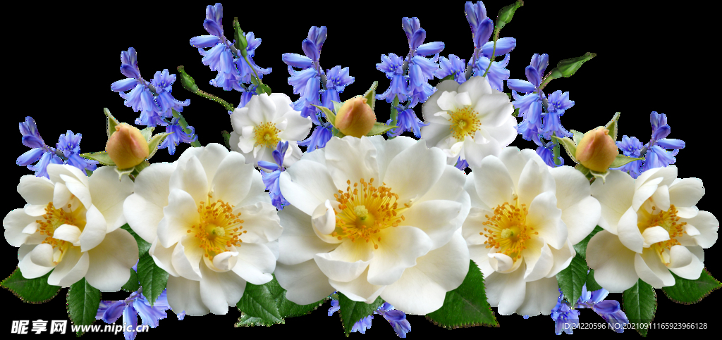 鲜花