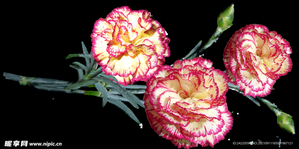 鲜花