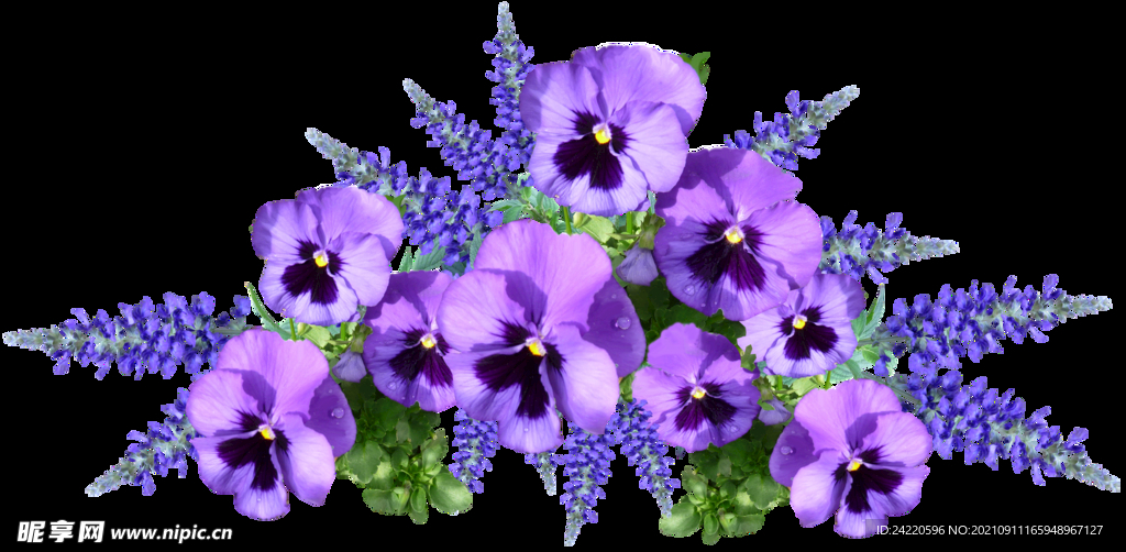 鲜花