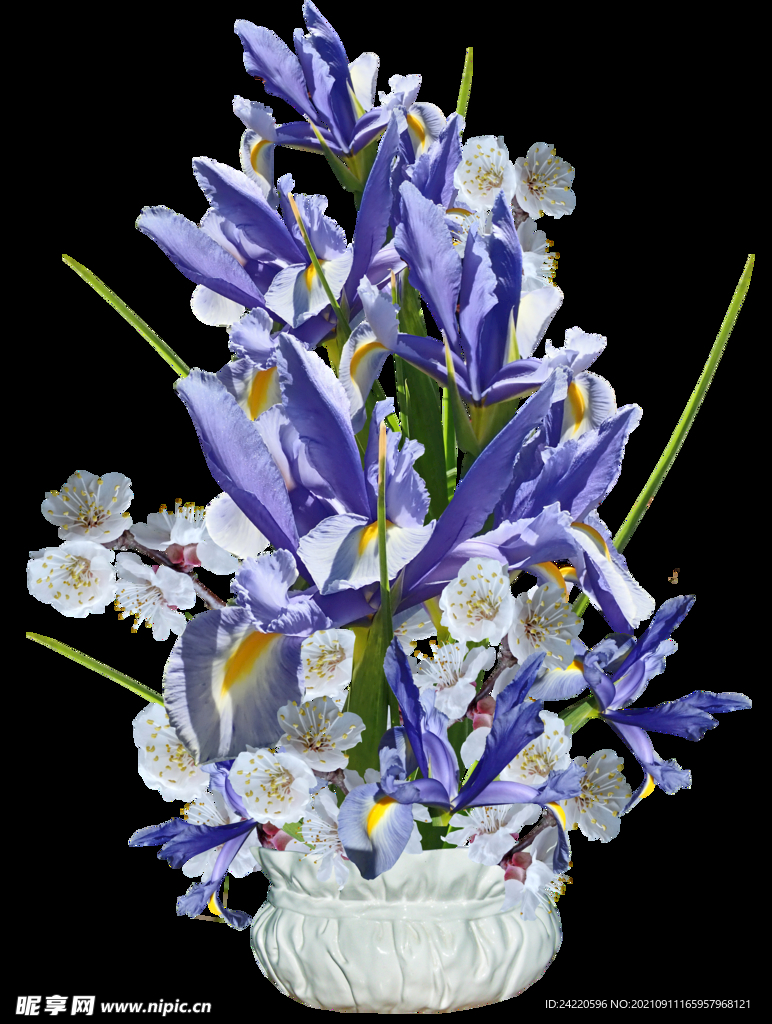 鲜花