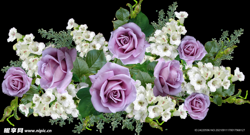 玫瑰花