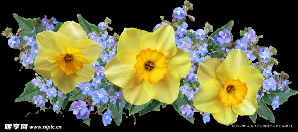 鲜花