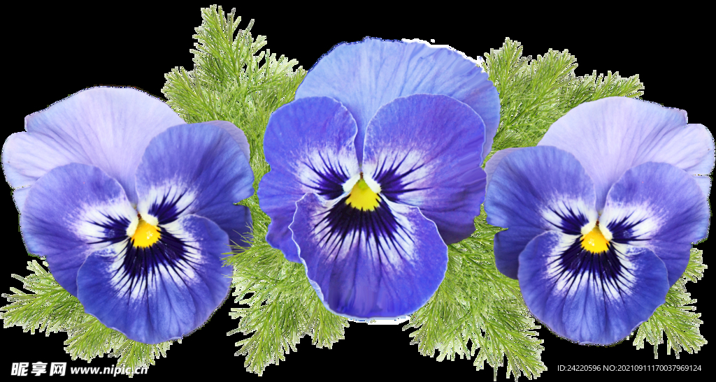 鲜花