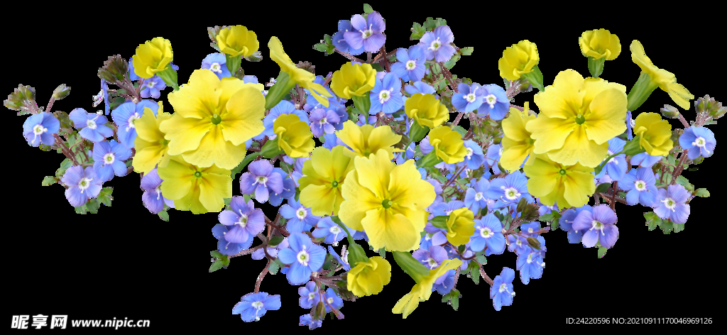 鲜花