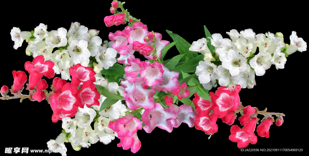 鲜花